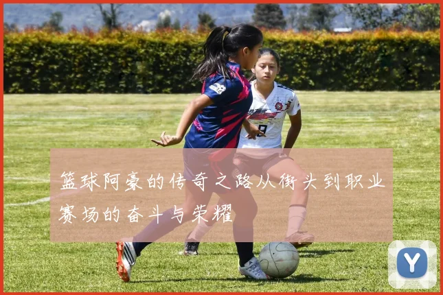 篮球阿豪的传奇之路从街头到职业赛场的奋斗与荣耀