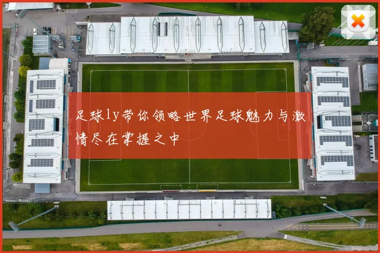 足球ly带你领略世界足球魅力与激情尽在掌握之中