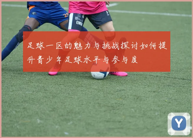 足球一区的魅力与挑战探讨如何提升青少年足球水平与参与度