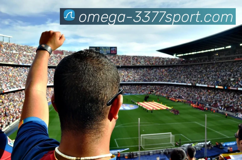 3377体育平台生态图