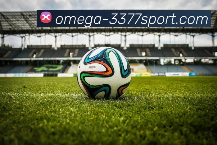 3377体育APP 封面图